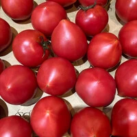 画像283