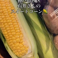 画像316