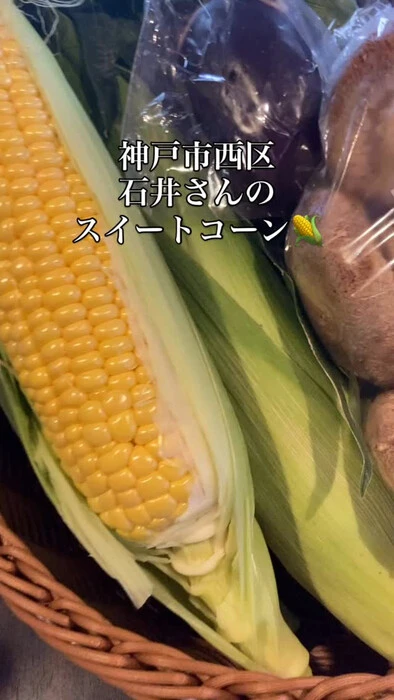 画像316